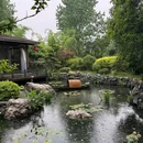 麓溪小院·森系花园餐厅(梅溪湖店) - 长沙市旅游 缩略图 7