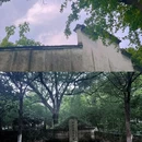 徐渭艺术馆 - 绍兴市旅游 缩略图 8