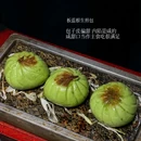 红鼎豆捞(卓尔店) - 武汉市旅游 缩略图 3