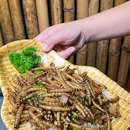 黎想海南黎族菜·海鲜·宴会厅(南山店) - 三亚市旅游 缩略图 4