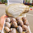 那香海景区 - 威海市旅游 缩略图 9