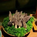 汤巴适·云南野生菌健康火锅(虎坊桥店) - 北京市旅游 缩略图 3