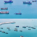 大黑山岛赶海园 - 烟台旅游 缩略图 9