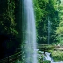 龙苍沟森林公园 - 雅安市旅游 缩略图 5