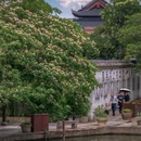 仁昌酱园 - 绍兴市旅游 缩略图 5