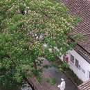 仁昌酱园 - 绍兴市旅游 缩略图 2