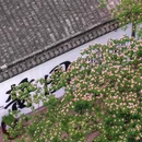仁昌酱园 - 绍兴市旅游 缩略图 9