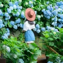 筱村公社绣球花 - 温州市旅游 缩略图 8
