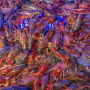 大润发(江汉店) - 武汉市旅游 缩略图 3