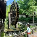 天子地山野乐园 - 杭州市旅游 缩略图 9