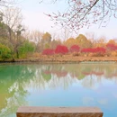 梅竹山庄 - 杭州市旅游 缩略图 5