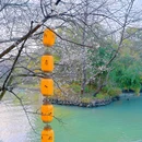 梅竹山庄 - 杭州市旅游 缩略图 6