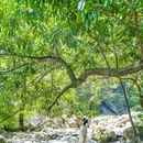 婺源五龙源景区 - 上饶市旅游 缩略图 1