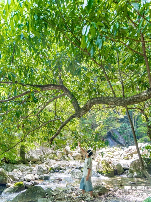 婺源五龙源景区 - 上饶市旅游