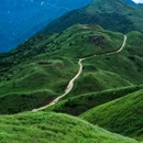 大南山 - 广州市旅游 缩略图 7