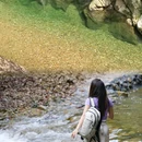 大明山景区-森林消防 - 南宁市旅游 缩略图 4