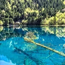 九寨沟景区 - 阿坝藏族羌族自治州旅游 缩略图 6