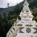 九寨沟景区 - 阿坝藏族羌族自治州旅游 缩略图 7