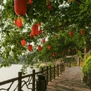 仙市古镇 - 自贡市旅游 缩略图 9