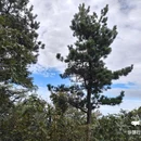 浠水三角山旅游度假区 - 黄冈旅游 缩略图 3