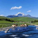 姑弄村 - 甘孜藏族自治州旅游 缩略图 8