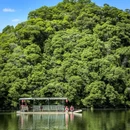 婺源江湾景区 - 上饶市旅游 缩略图 1