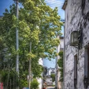 婺源江湾景区 - 上饶市旅游 缩略图 9