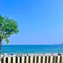 大梅沙海滨栈道 - 深圳旅游 缩略图 6