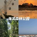 世帆赛基地游艇码头 - 日照市旅游 缩略图 9