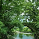 婺源江湾景区 - 上饶市旅游 缩略图 2