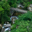 婺源江湾景区 - 上饶市旅游 缩略图 7