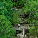 婺源江湾景区 - 上饶市旅游 缩略图 8