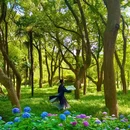 蠡园 - 无锡市旅游 缩略图 4