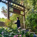 蠡园 - 无锡市旅游 缩略图 6