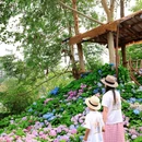 呼和浩特莫奈花园酒店 - 呼和浩特市旅游 缩略图 4