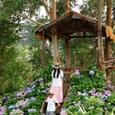 呼和浩特莫奈花园酒店 - 呼和浩特市旅游 缩略图 1