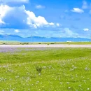 川西竹海 - 乐山市旅游 缩略图 1