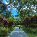 山海健康步道 - 厦门市旅游 缩略图 5