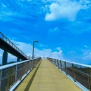 山海健康步道 - 厦门市旅游 缩略图 7