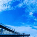 山海健康步道 - 厦门市旅游 缩略图 8