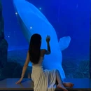 郑州海洋馆 - 郑州旅游 缩略图 4