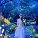 郑州海洋馆 - 郑州旅游 缩略图 1