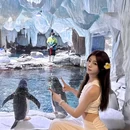 郑州海洋馆 - 郑州旅游 缩略图 8