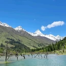 四姑娘山景区 - 阿坝藏族羌族自治州旅游 缩略图 3