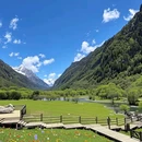四姑娘山景区 - 阿坝藏族羌族自治州旅游 缩略图 9