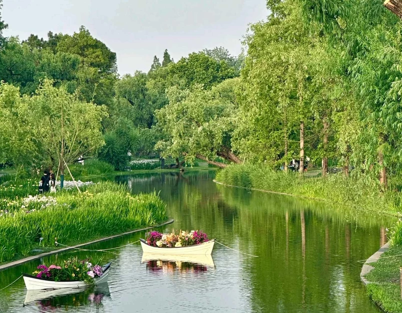 共青国家森林公园 - 上海旅游 1