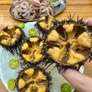 冰城啤酒屋 - 青岛市旅游 缩略图 2