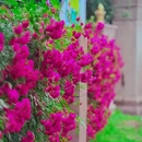 北京展览馆宾馆 - 北京市旅游 缩略图 3
