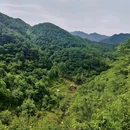 流峪小栈 - 西安市旅游 缩略图 2