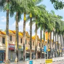 芒市广场 - 德宏傣族景颇族自治州旅游 缩略图 6